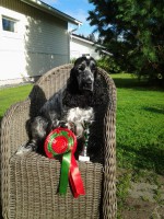 /album/ilpo/elo13-031-jpg/